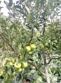 户外小白成长记,户外小白进阶课