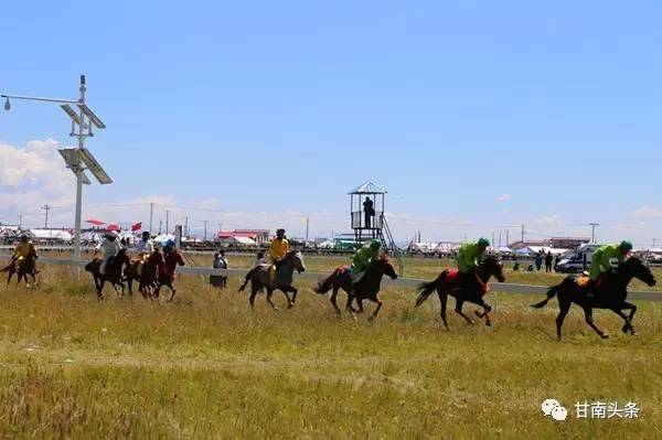 纵马扬鞭御风飞行丨九色甘南香巴拉·玛曲第十一届格萨尔赛马节隆重开幕