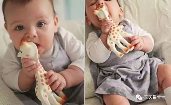 babycare牙胶和佳尔优优牙胶哪个好 (edison牙胶和ange牙胶有什么区别)