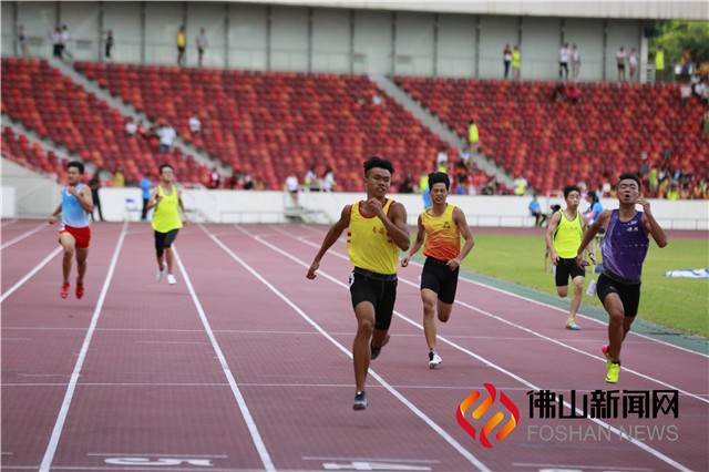 广东省运会田径赛程表,顺德区田径锦标赛