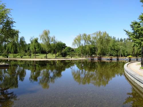 锤子坚果pro总死机,锤子坚果pro质量问题