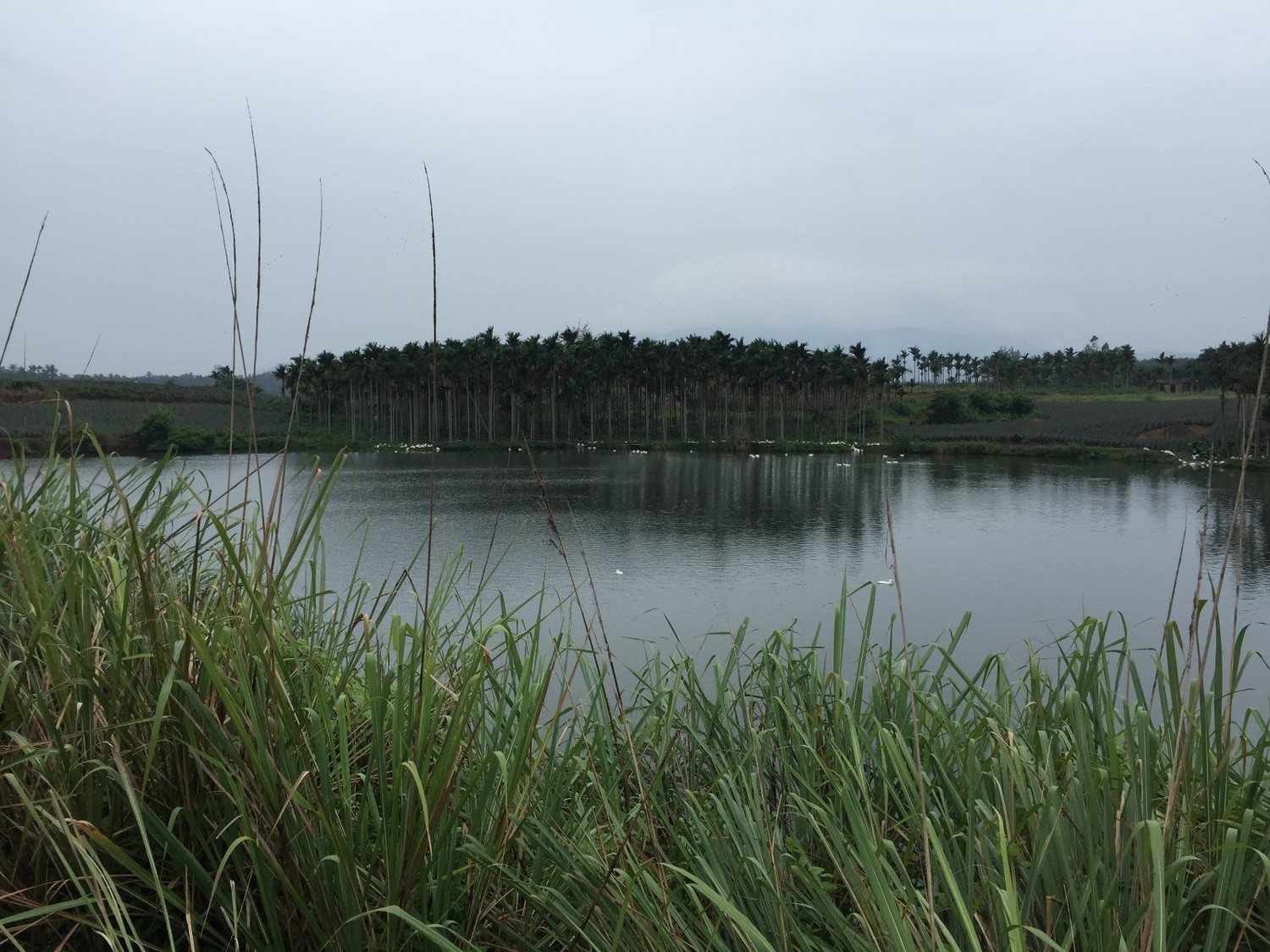 单车骑行环海南岛攻略,环海南岛骑行一圈花费