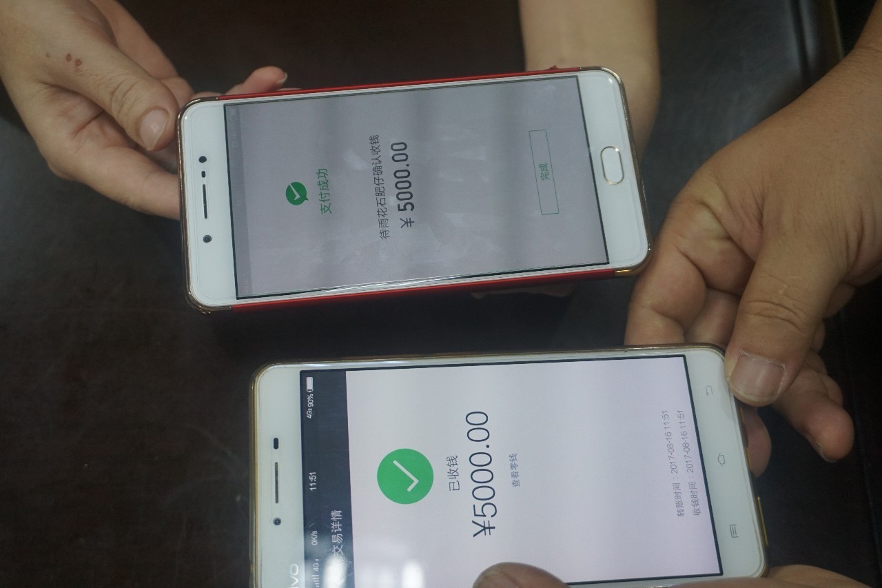 代号“网狐”——江南法院“网狐行动Ⅱ”之“先礼后兵”