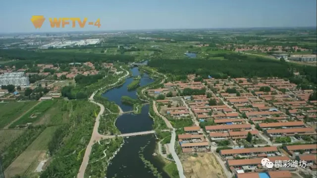 潍坊于姓家族,潍坊于姓源自何处