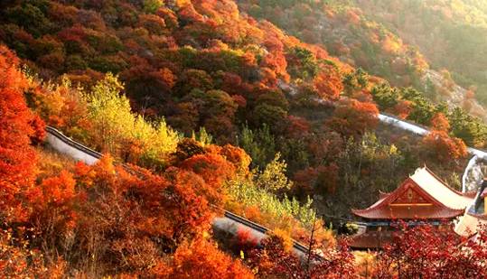 原创｜烟台一年最嗨的日子来了！即将开海，这些图却火了