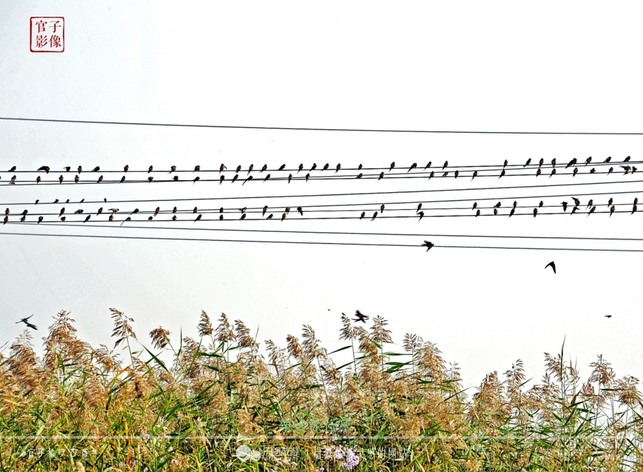 亚洲最大的天然红地毯,世上最出名的红地毯