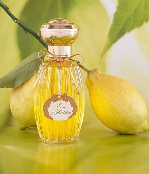 豆瓣日记:非常讨厌用香水，十款夏日男士经典香水的香评