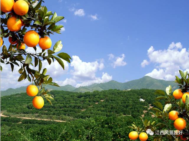 走遍江西100县广昌县,走遍江西100县瑞昌