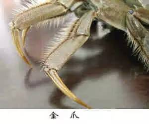 原创｜烟台一年最嗨的日子来了！即将开海，这些图却火了