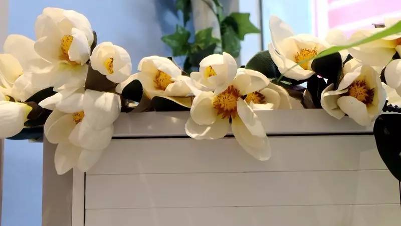 「探店」高圆圆、王丽坤都用的“神器”！银川这家店让你丢掉美颜相机！