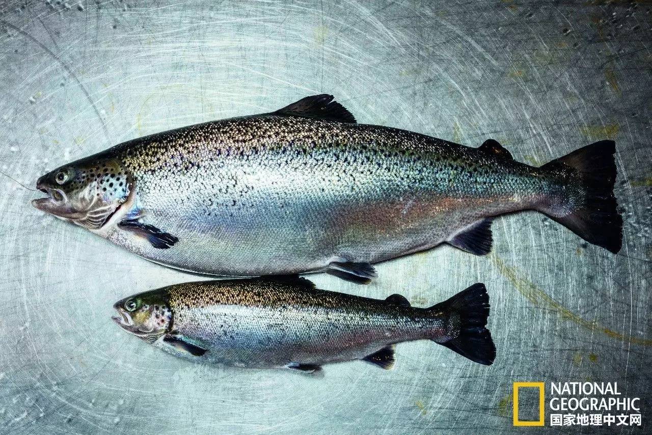 人类发明的新技术,人类新科技技术