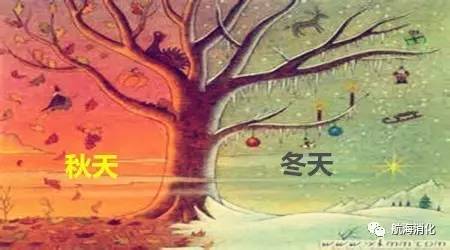 你的肠胃还好吗,你的肠胃有多强大