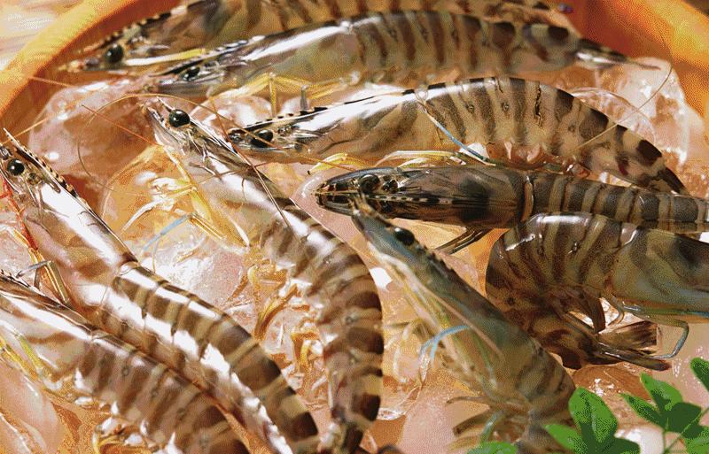 开海哪里的海鲜最便宜,威海开海适合买什么海鲜