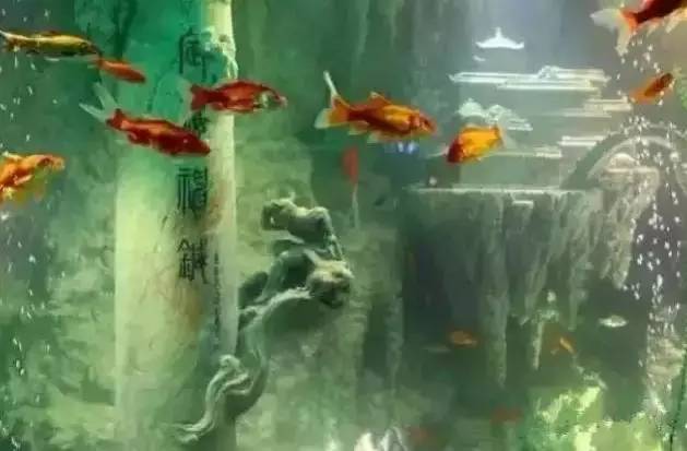 世界上最大的土豪鱼缸,寿山石东海龙宫鱼缸