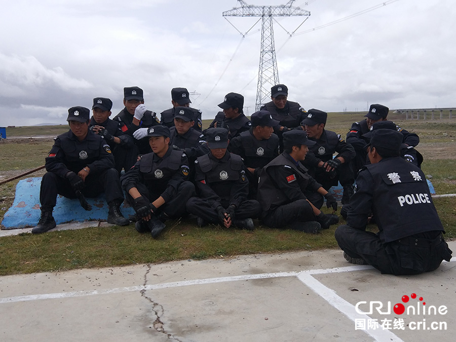 唐古拉山口卫士,唐古拉山口的天路卫士