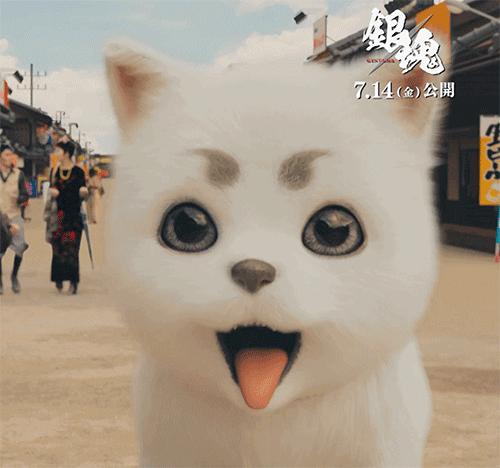 银魂电影恐怖吗,银魂真人版受伤