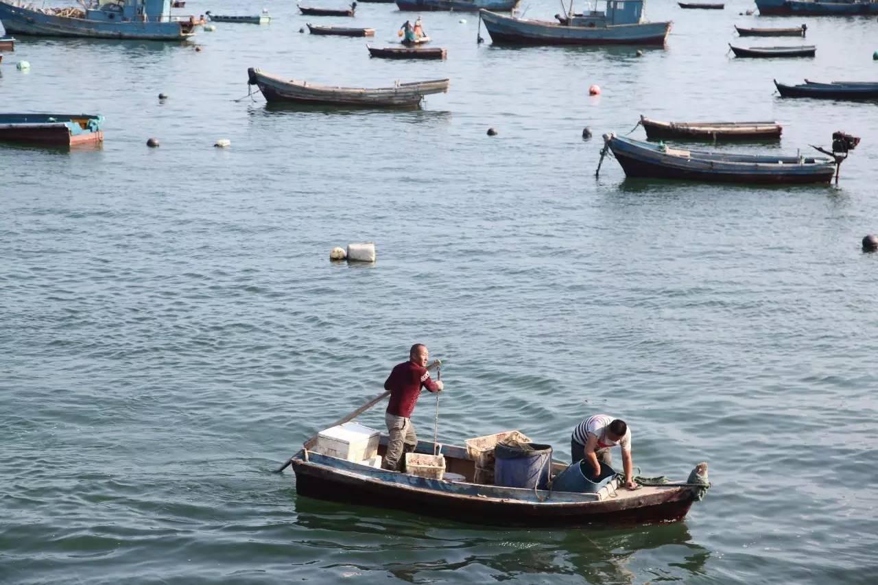 开海最新海鲜,开海时海鲜价