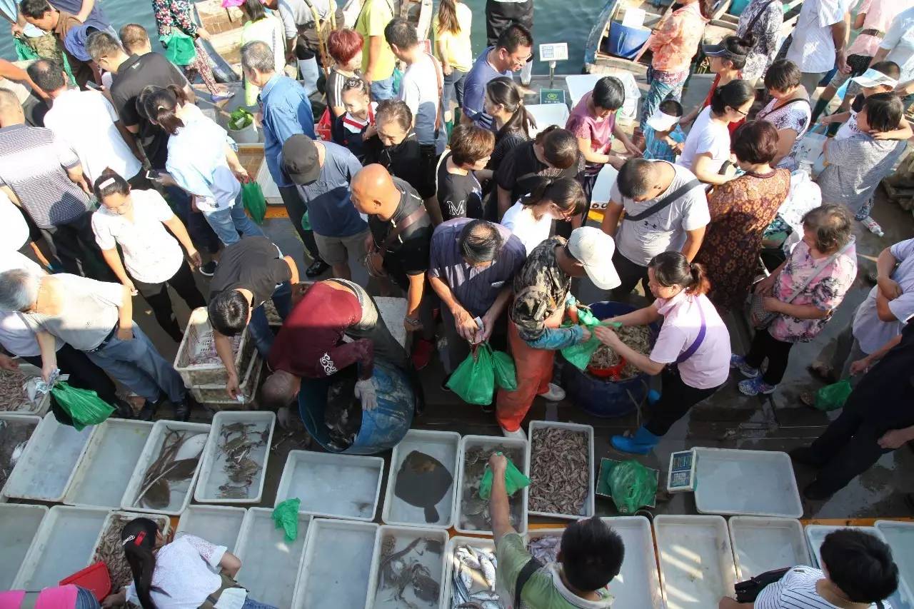 开海啦一大波生猛海鲜汹涌来袭,开海抢鲜梭子蟹