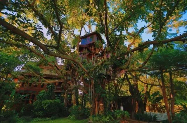 我们相爱吧无尾熊插曲,我们相爱吧无尾熊探班