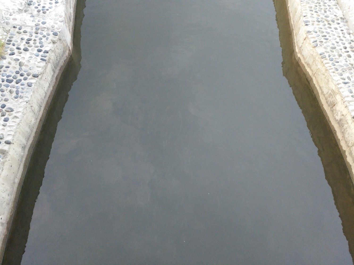 青海湟鱼家园,青海的湟鱼家园