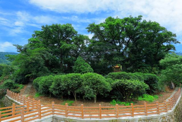 宁波北仑最好的地方,北仑有意思的地方