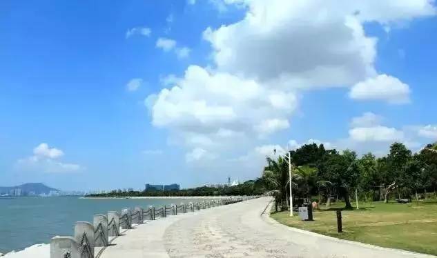 深圳的粉红花海,深圳中心公园藏着浪漫花海