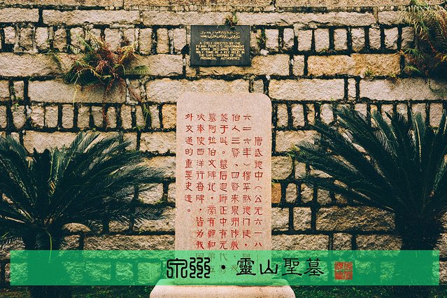 情迷刺桐海上丝路的风情万种