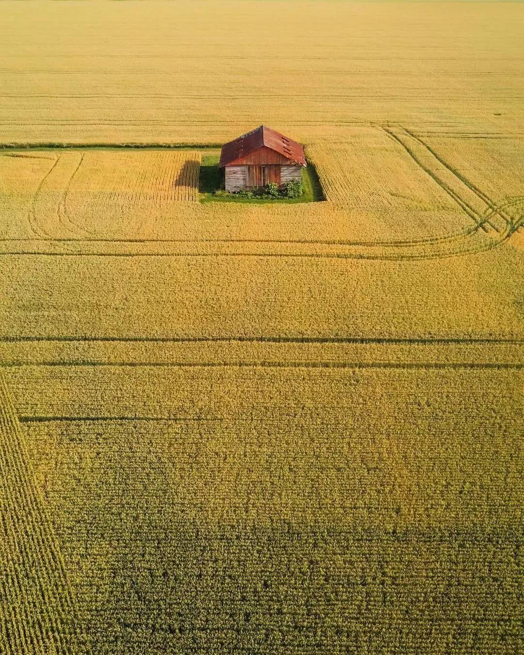 你有过被盗视频的经历吗,哪些图片有被盗图举报风险
