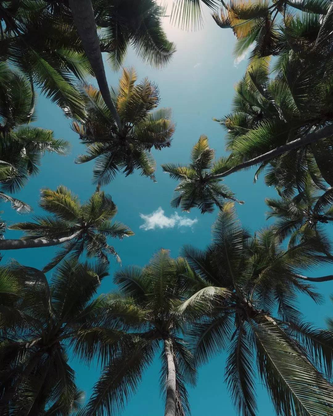 你有过被盗视频的经历吗,哪些图片有被盗图举报风险