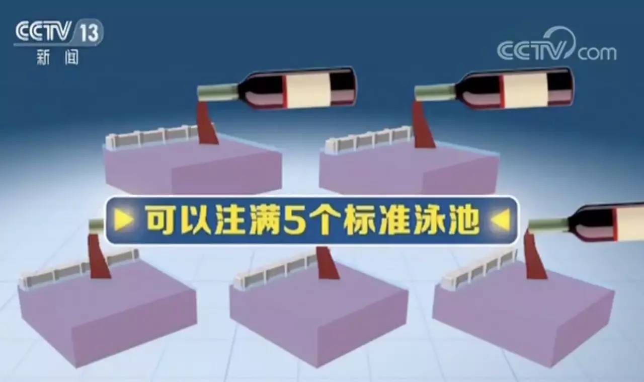 来自印度舌尖上的美味你吃过吗,舌尖上的金砖美食