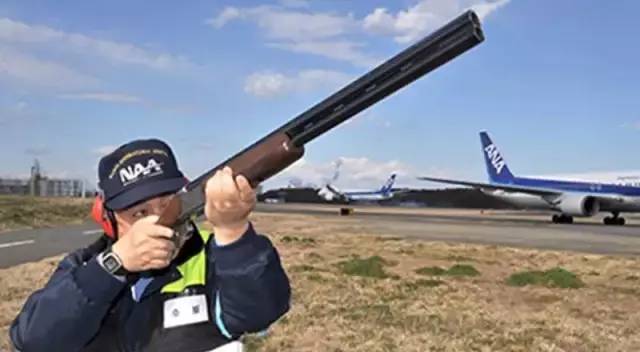 日本航空最近的空难,日本航空最近空难