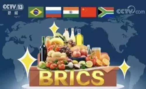 关于金砖你不知道的事,你如何看待金砖