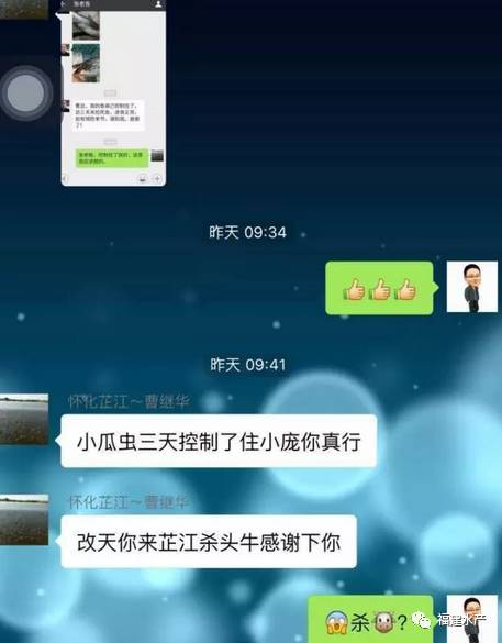 彻底清除小瓜虫,如何解决小瓜虫的妙招