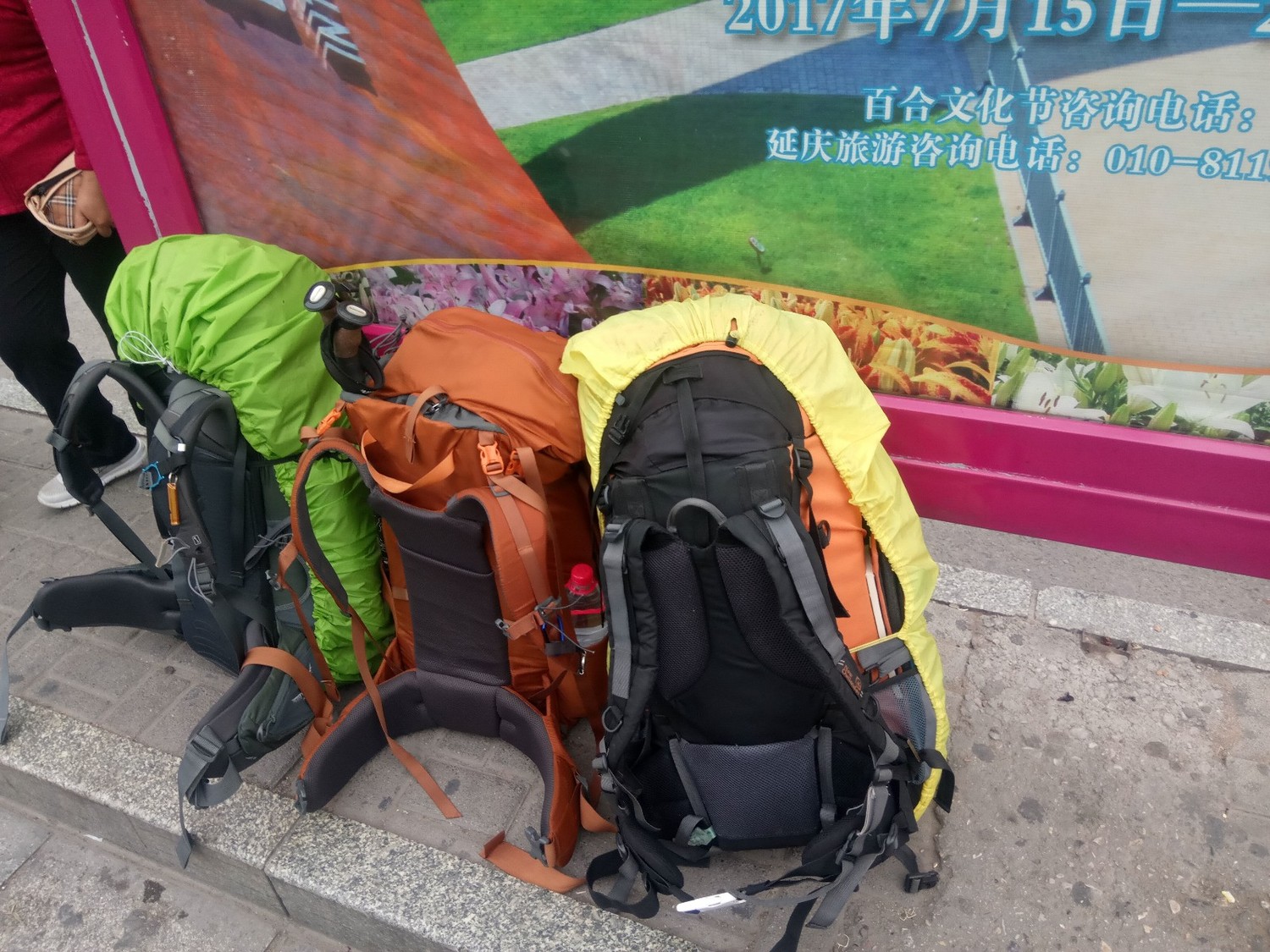 龙聚山庄南区,龙聚山庄全景