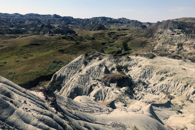 卡尔加里doordash,卡尔加里开飞机