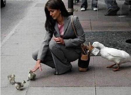 还有比这更尴尬的首次约会吗？女子捡屎被卡住