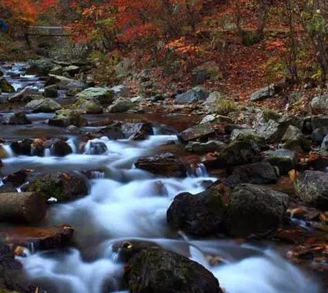 沈阳最美赏枫地最新开放,沈阳附近赏枫
