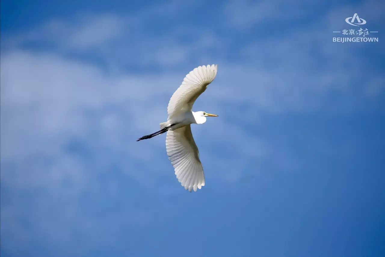 快来领取你的可爱姓氏壁纸,免费领取动态热门主题壁纸