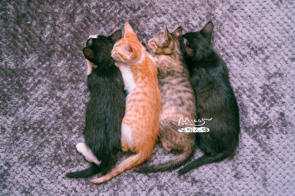 豆瓣日记10月,豆瓣日记