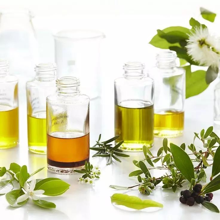 天然环保健康洗护用品,澳洲清洁用品推荐品牌