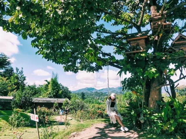 我们相爱吧无尾熊插曲,我们相爱吧无尾熊探班