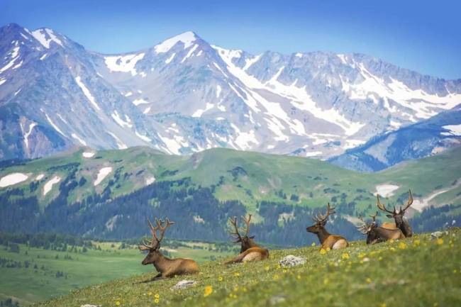 美国各州差别大吗,美国各州和省的区别