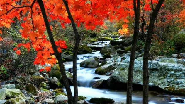 沈阳最美赏枫地最新开放,沈阳附近赏枫