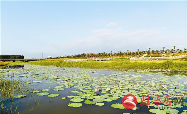 驻马店西平县宜居,西平宜居