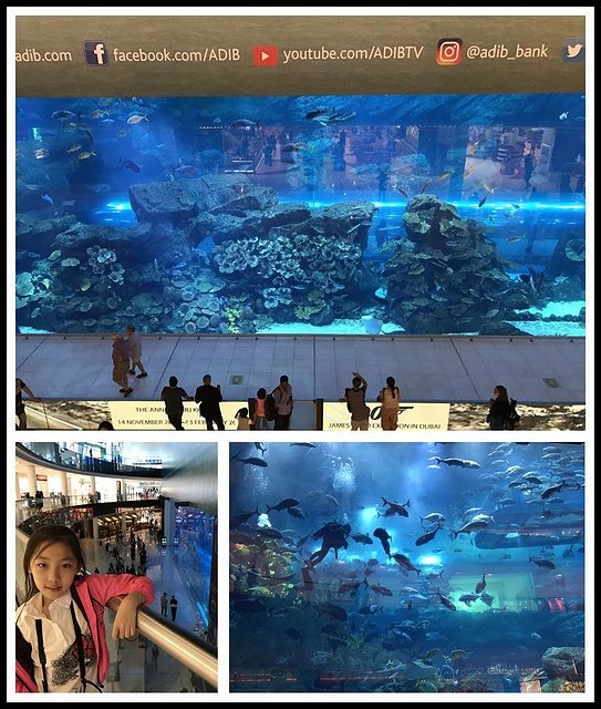 迪拜自驾七日游攻略,迪拜自驾游一日游攻略