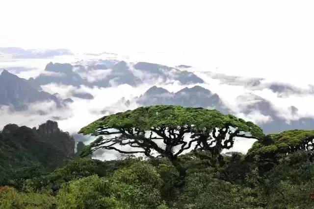 广西山清水秀的县,广西美丽的风景山清水秀