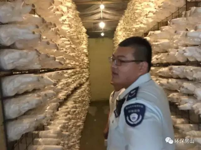 北京关于环保执法的最新规定,昌平区环保治理