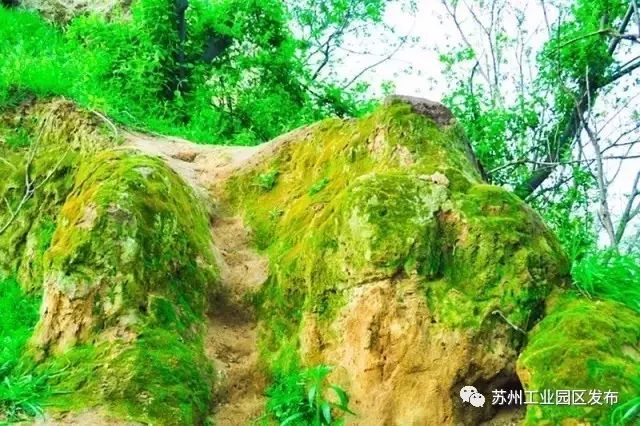 340亩主题公园啥时动工,3000平方米绿地公园