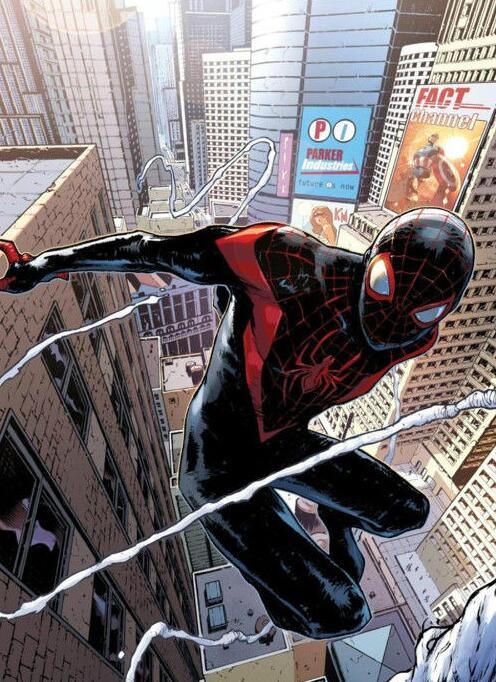 盘点最可爱的小蜘蛛,你见过这样呆萌可爱的小蜘蛛吗