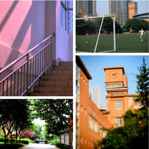 重庆最厉害十所小学,重庆最厉害的6所中学